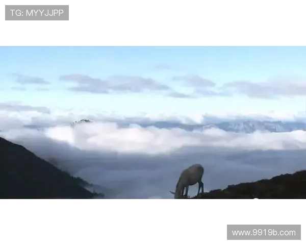 地理世界直播:足不出户探索全球奇景 地理世界直播:足不出户探索全球奇景